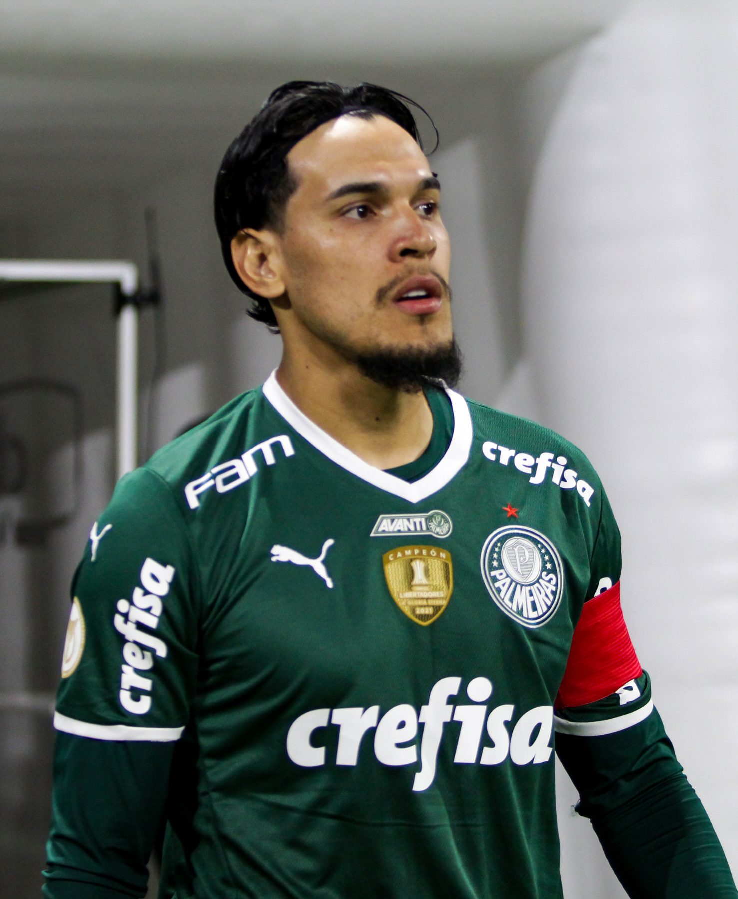 Ídolos do Palmeiras Conheça jogadores que marcaram no Palestra