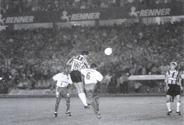 palmeiras