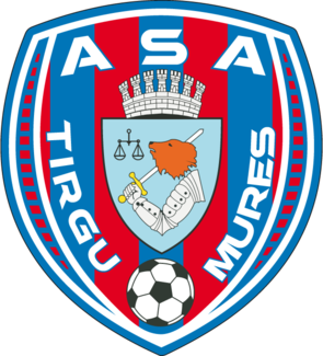 ASA 2013 Targu Mures logo