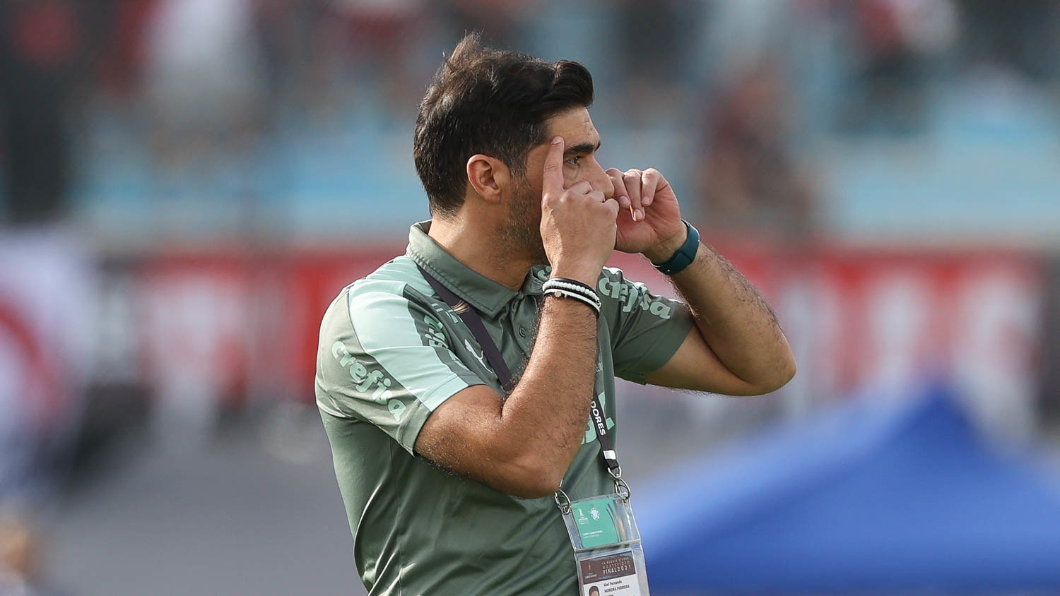 Os 13 Maiores Ídolos do Palmeiras Os 13 Maiores Ídolos do Palmeiras