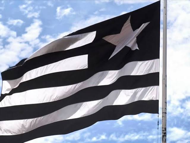 Os 10 Maiores Ídolos do Botafogo Os 10 Maiores Ídolos do Botafogo