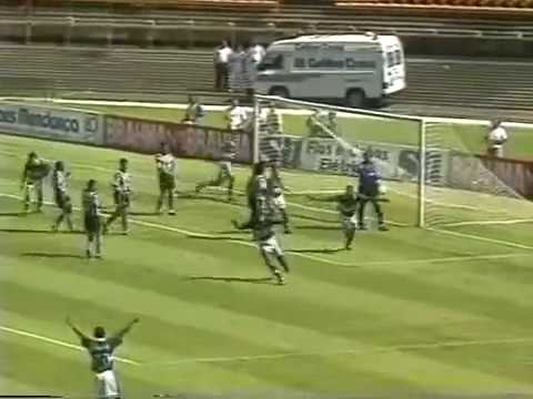 Botafogo x Palmeiras: grandes jogos na história 7 palmeiras botafogo 1997