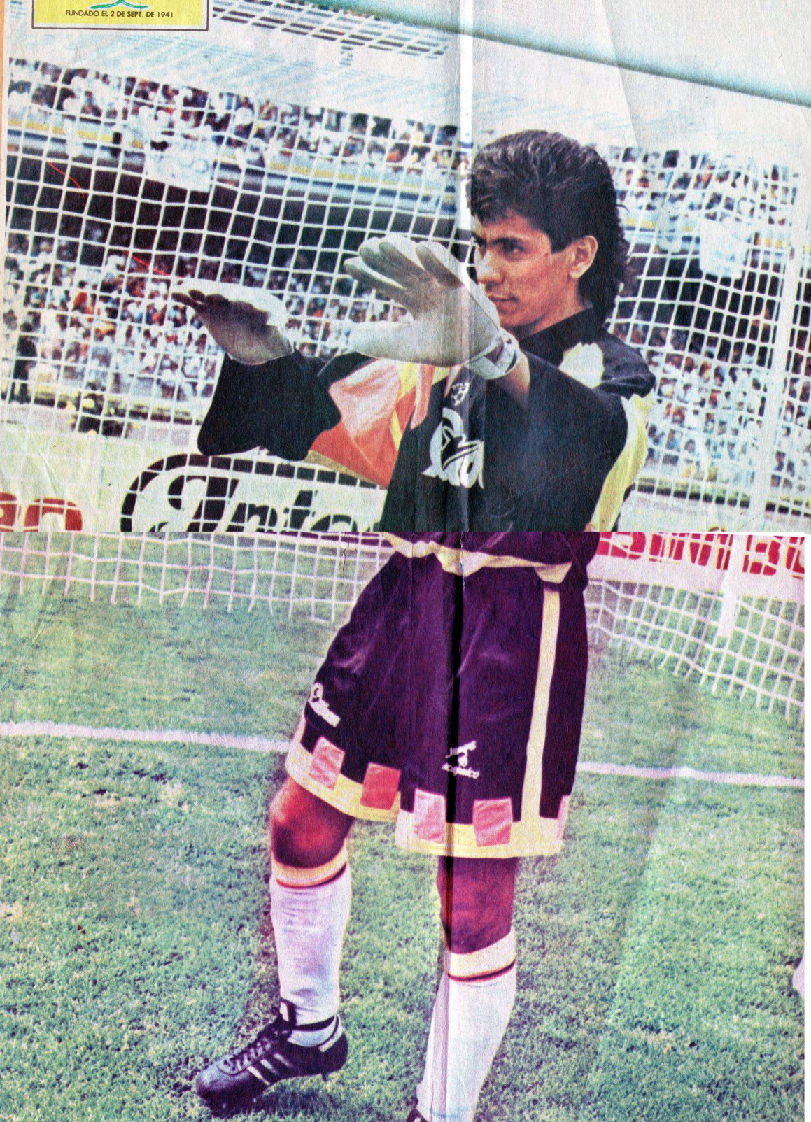 Jorge Campos
