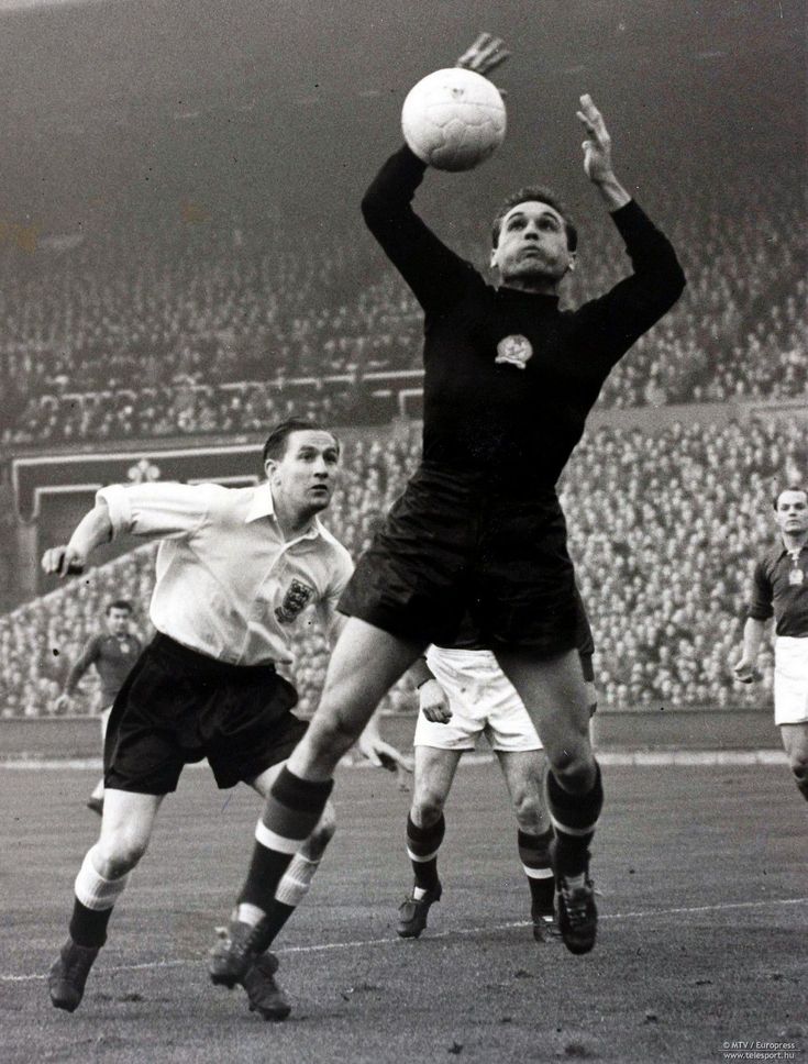 grosics hungary england