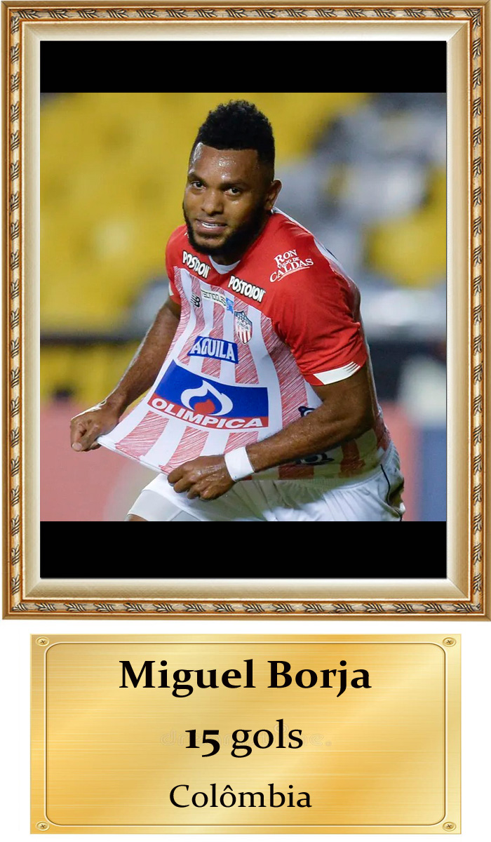 06 borja sulamericana