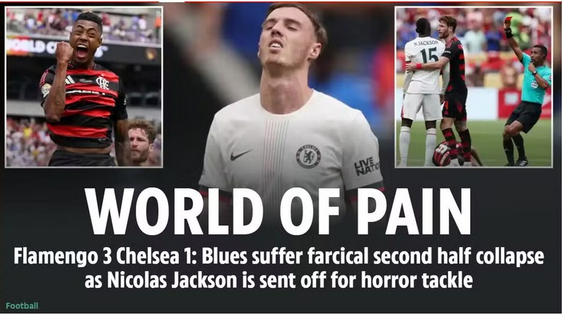 the sun fla chelsea