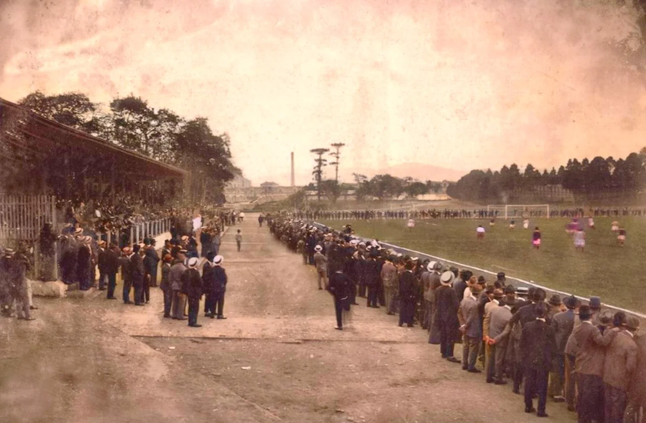 palestra italia publico 2