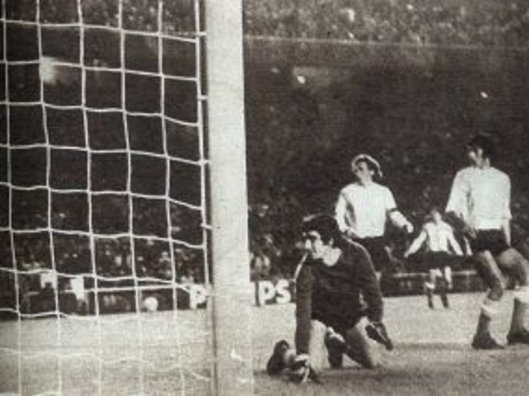 hispanidad 1972
