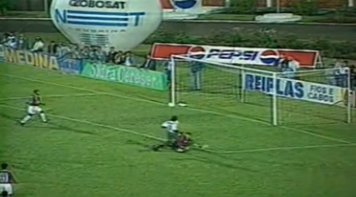 pal flu 1996 2