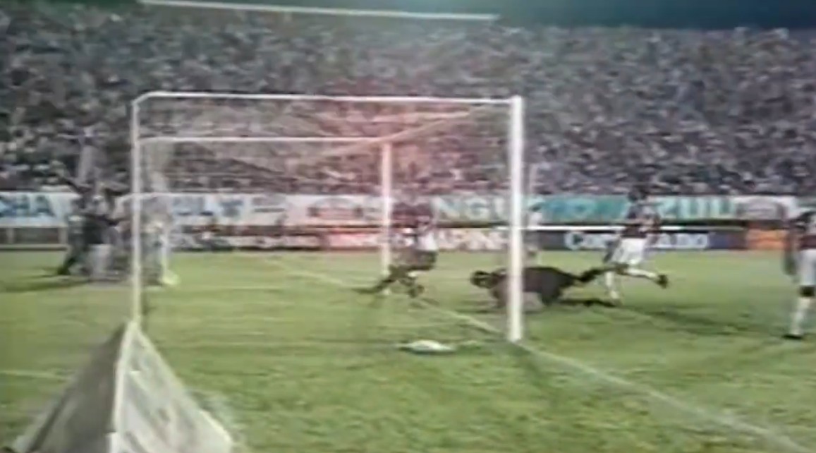 pal flu 1996